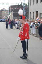 Großer Festumzug (12.06.2011) #18