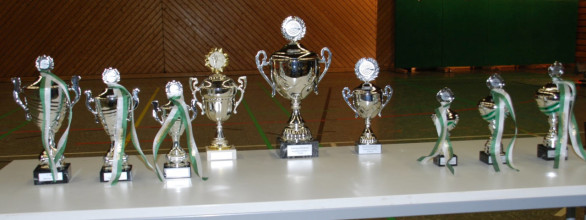 Regimentsschießen (25.01.2015)