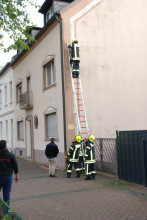 Maisetzen (30.04.2015) #28